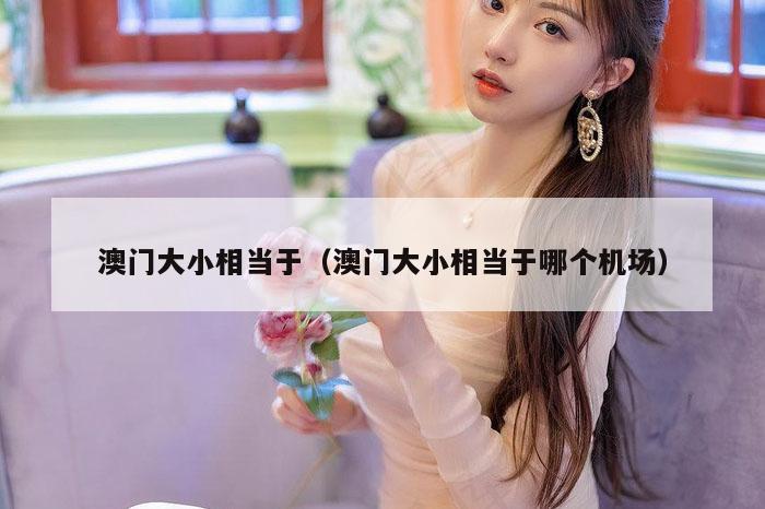 澳门大小相当于（澳门大小相当于哪个机场）