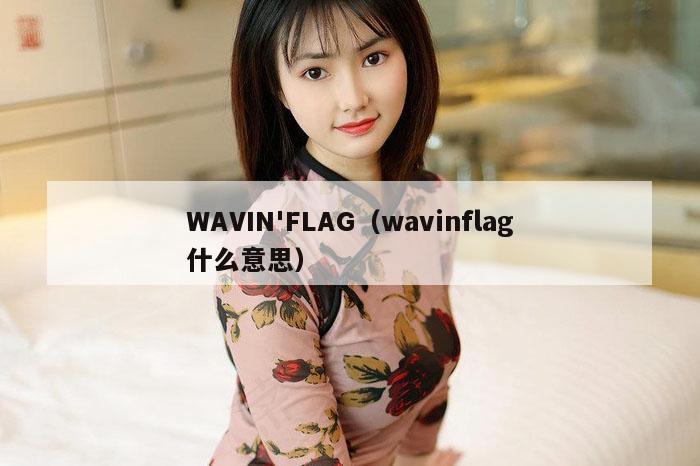WAVIN'FLAG（wavinflag什么意思）